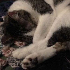 Meet your Posher, Chelsea